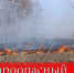 Запрещено выжигание сухой травяной растительности, мусора и использование открытого огня на землях сельскохозяйственного назначения - Администрация Жердевского района