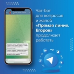 Чат-бот для вопросов и жалоб «Прямая линия. Егоров» продолжает работать