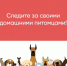 В Тамбовской области действуют требования к содержанию и выгулу домашних животных.. - Жердевский муниципальный округ