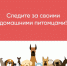 🐾В Тамбовской области действуют требования к содержанию и выгулу домашних животных.. - Жердевский муниципальный округ