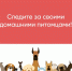 В Тамбовской области действуют требования к содержанию и выгулу домашних животных.. - Жердевский муниципальный округ