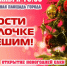 Открытие главной новогодней елки!. - Жердевский муниципальный округ