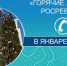 «Горячие линии» тамбовского Росреестра в январе 2026 года. - Жердевский муниципальный округ