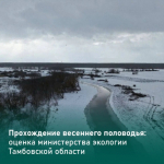 Как пройдёт весеннее половодье, рассказали в министерстве экологии Тамбовской области.
