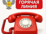 О «горячей линии» Роспотребнадзора.