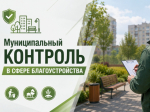 Муниципальный контроль в сфере благоустройства.